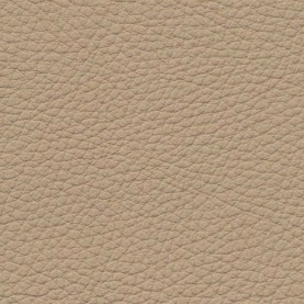 Dakota Cream Beige Leather Spray Paint Review - BMW 3-Series (E90