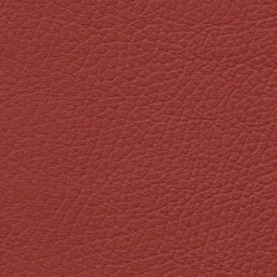 Basis Dakota Coral Red BMW leather