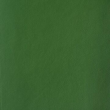 Full grain nappa leather - Mamba Green Porsche