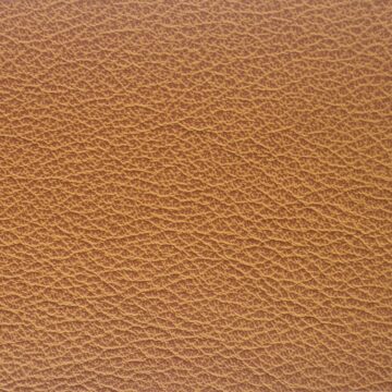 Vegetable top dyed automotive corrected leather